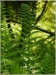 p5294023