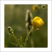 p6054422ok-_1