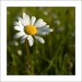 p6054444ok-_1