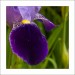 p6215620ok-_1